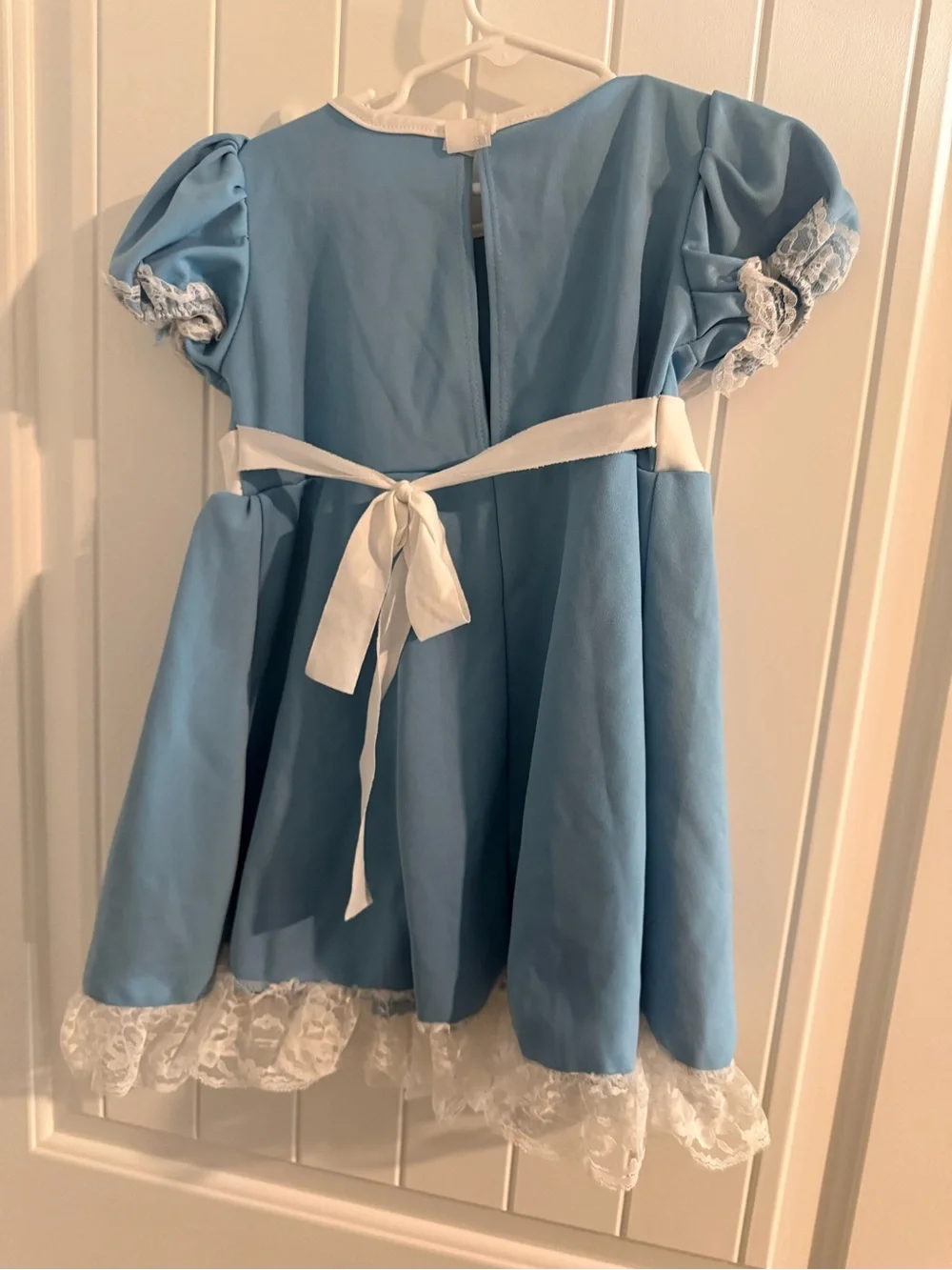 California Costume Alice in Wonderland Dress Costume 3T 4T